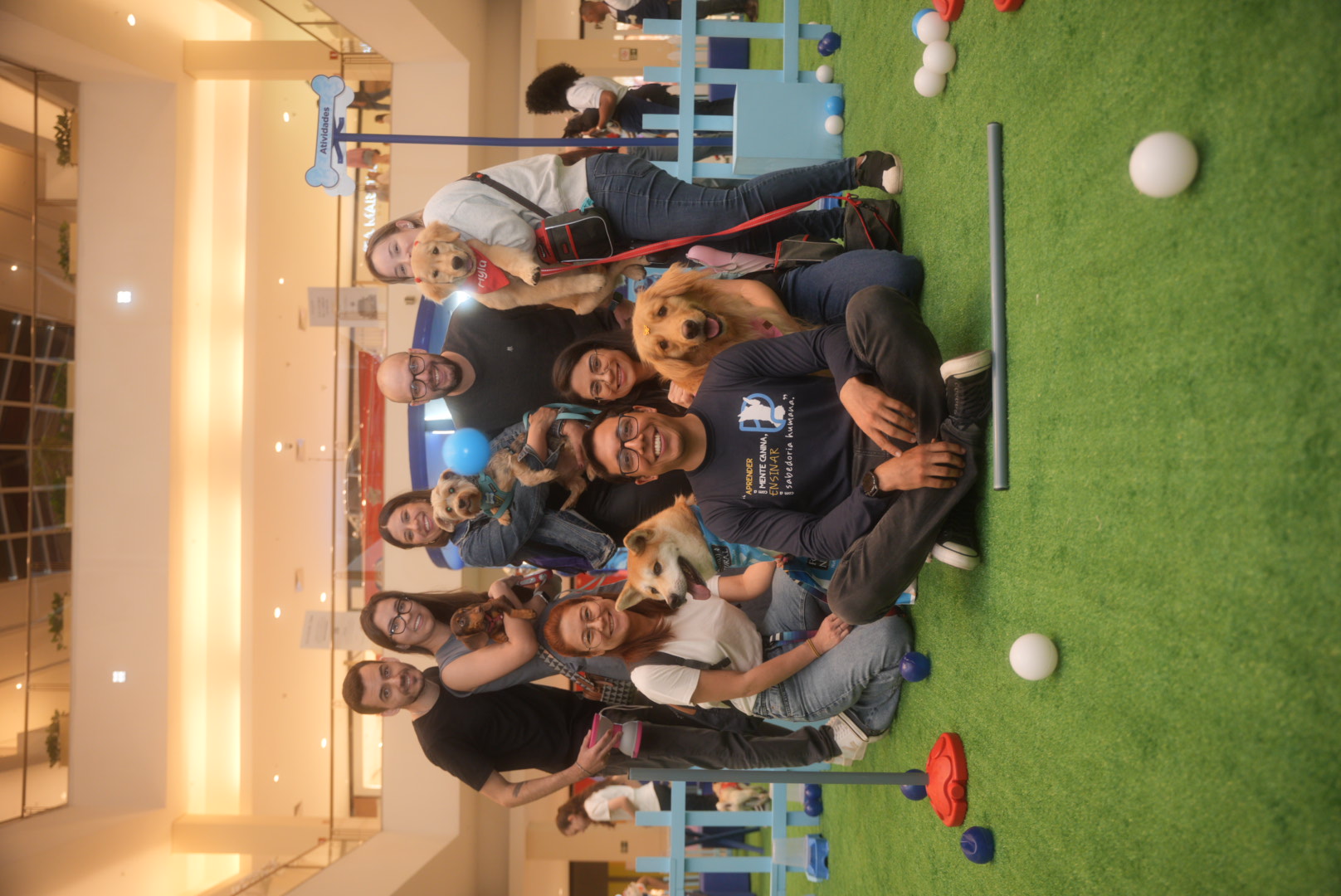 Imagem do curso e do tema comportamental canino